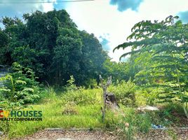  Land for rent in Pampanga, Central Luzon, City of San Fernando, Pampanga