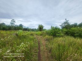  Land for sale in Dauis, Bohol, Dauis