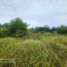  Land for sale in Dauis, Bohol, Dauis