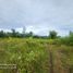  Land for sale in Dauis, Bohol, Dauis