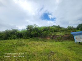  Land for sale in Baclayon, Bohol, Baclayon