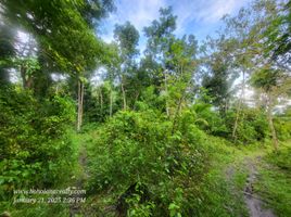  Land for sale in Baclayon, Bohol, Baclayon