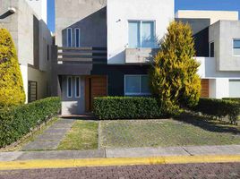 Appartement 3 chambre à louer à Toluca, Mexico, Toluca