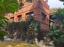 Tepoztlan, 모렐 로스PropertyTypeNameBedroom, Tepoztlan