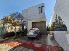 3 Schlafzimmer Wohnung zu verkaufen in Zapopan, Jalisco, Zapopan, Jalisco, Mexiko