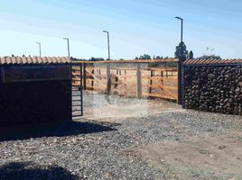  Terreno (Parcela) en venta en Ñuble, San Nicolas, Punilla, Ñuble