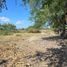  Land for sale in Tuxtla Gutierrez, Chiapas, Tuxtla Gutierrez, Chiapas