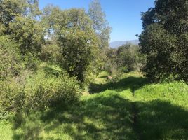  Land for sale in Chile, San Fernando, Colchagua, Libertador General Bernardo Ohiggins, Chile