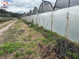  Terreno (Parcela) en venta en Imbabura, San Juan De Iluman, Otavalo, Imbabura