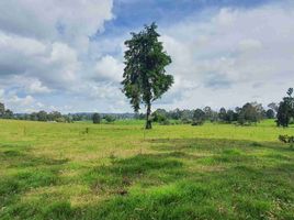  Land for sale in San Pedro De Los Milagros, Antioquia, San Pedro De Los Milagros