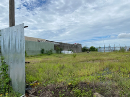  Terreno (Parcela) en alquiler en Daule, Guayas, Daule, Daule