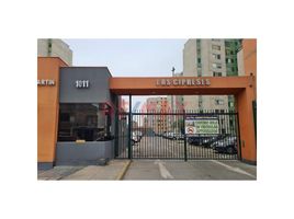 3 Habitación Apartamento en venta en San Martin de Porres, Lima, San Martin de Porres