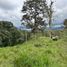  Terreno (Parcela) en venta en San Miguel de los Bancos, Pichincha, San Miguel De Los Bancos, San Miguel de los Bancos