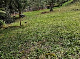  Land for sale in Envigado, Antioquia, Envigado