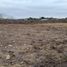 Terreno (Parcela) en venta en San Jose De Ancon, Santa Elena, San Jose De Ancon