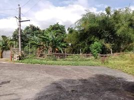  Land for sale in Rizal, Calabarzon, Antipolo City, Rizal