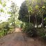 4 Bedroom House for sale in Montelibano, Cordoba, Montelibano