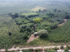  Land for sale in Playas, Guayas, General Villamil Playas, Playas