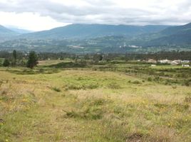  Land for sale in Imbabura, Cotacachi, Cotacachi, Imbabura