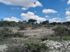  Grundstück zu vermieten in San Jose Iturbide, Guanajuato, San Jose Iturbide