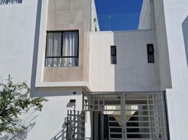 누에 보 레온PropertyTypeNameBedroom, 산타 카타리나, 누에 보 레온