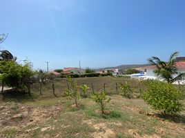  Land for sale in Tubara, Atlantico, Tubara