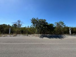  Land for sale in Merida, Yucatan, Merida, Yucatan