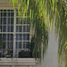 Villa 3 chambre à vendre à Leon, Guanajuato, Leon