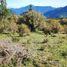  Land for sale in Los Lagos, Cochamo, Llanquihue, Los Lagos