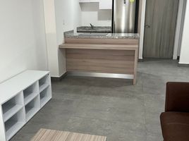 2 Bedroom Apartment for rent in Monterrey, Nuevo Leon, Monterrey, Nuevo Leon
