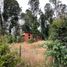  Land for sale in Los Lagos, Puerto Montt, Llanquihue, Los Lagos