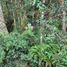  Land for sale in Los Lagos, Puerto Montt, Llanquihue, Los Lagos