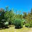  Land for sale in Los Lagos, Puerto Varas, Llanquihue, Los Lagos