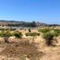  Terreno (Parcela) en venta en Chile, Litueche, Cardenal Caro, Libertador General Bernardo O'Higgins, Chile