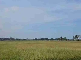  Land for sale in Samborondon, Guayas, Samborondon, Samborondon