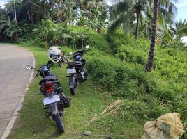  Grundstück zu verkaufen in Negros Oriental, Negros Island Region, Santa Catalina, Negros Oriental