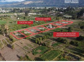  Land for sale in Cevallos, Tungurahua, Cevallos, Cevallos