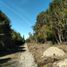  Land for sale in Los Lagos, Puerto Montt, Llanquihue, Los Lagos