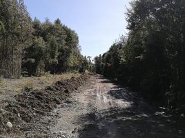  Land for sale in Los Lagos, Puerto Montt, Llanquihue, Los Lagos