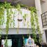 3 Schlafzimmer Villa zu verkaufen in Medellin, Veracruz, Medellin