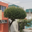 4 Schlafzimmer Haus zu verkaufen in Tultitlan, Mexico, Tultitlan