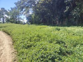  Terreno (Parcela) en venta en Dasmarinas City, Calabarzon, Dasmarinas City, Cavite, Calabarzon, Filipinas