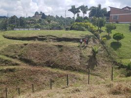  Terreno (Parcela) en venta en Pereira, Risaralda, Pereira