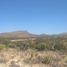 Terrain à vendre à Villa De Reyes, San Luis Potosi, Villa De Reyes