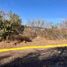  Land for sale in Zapopan, Jalisco, Zapopan, Jalisco