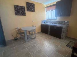1 Bedroom Apartment for rent in La Paz, Baja California Sur, La Paz, Baja California Sur