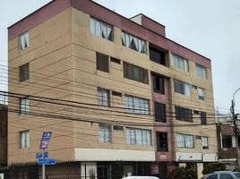 3 Schlafzimmer Appartement zu verkaufen in San Miguel, Lima, San Miguel, Lima, Lima