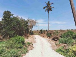  Terrain for sale in San Blas, Nayarit, San Blas