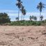  Terrain for sale in San Blas, Nayarit, San Blas