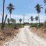  Terrain for sale in San Blas, Nayarit, San Blas